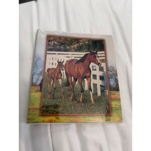 Vintage Y2K Class Act Horse 3 Ring Binder 1 Inch Mare and Foal Photo 2010